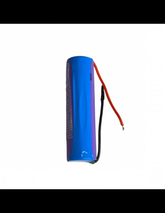 Batterie originale Instinct X STYLECRAFT